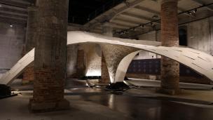 Armadillo Vault 2016威尼斯建筑双年展 